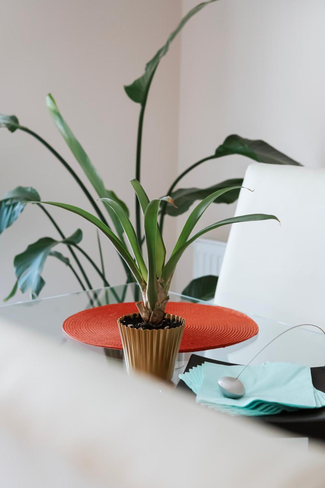 Apartament Cyrkoniowa Люблин Екстериор снимка